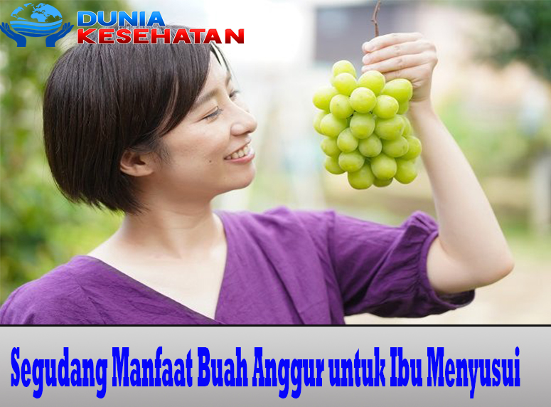 Segudang Manfaat Buah Anggur untuk Ibu Menyusui