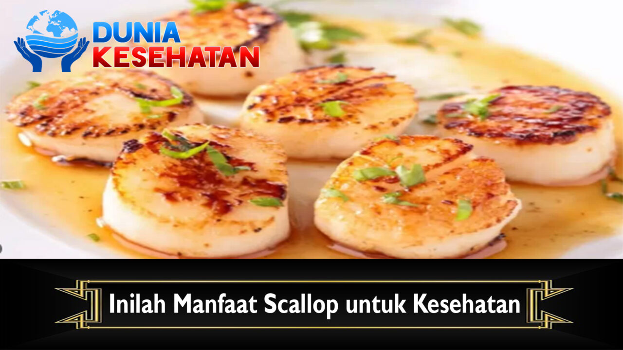 Inilah Manfaat Scallop untuk Kesehatan