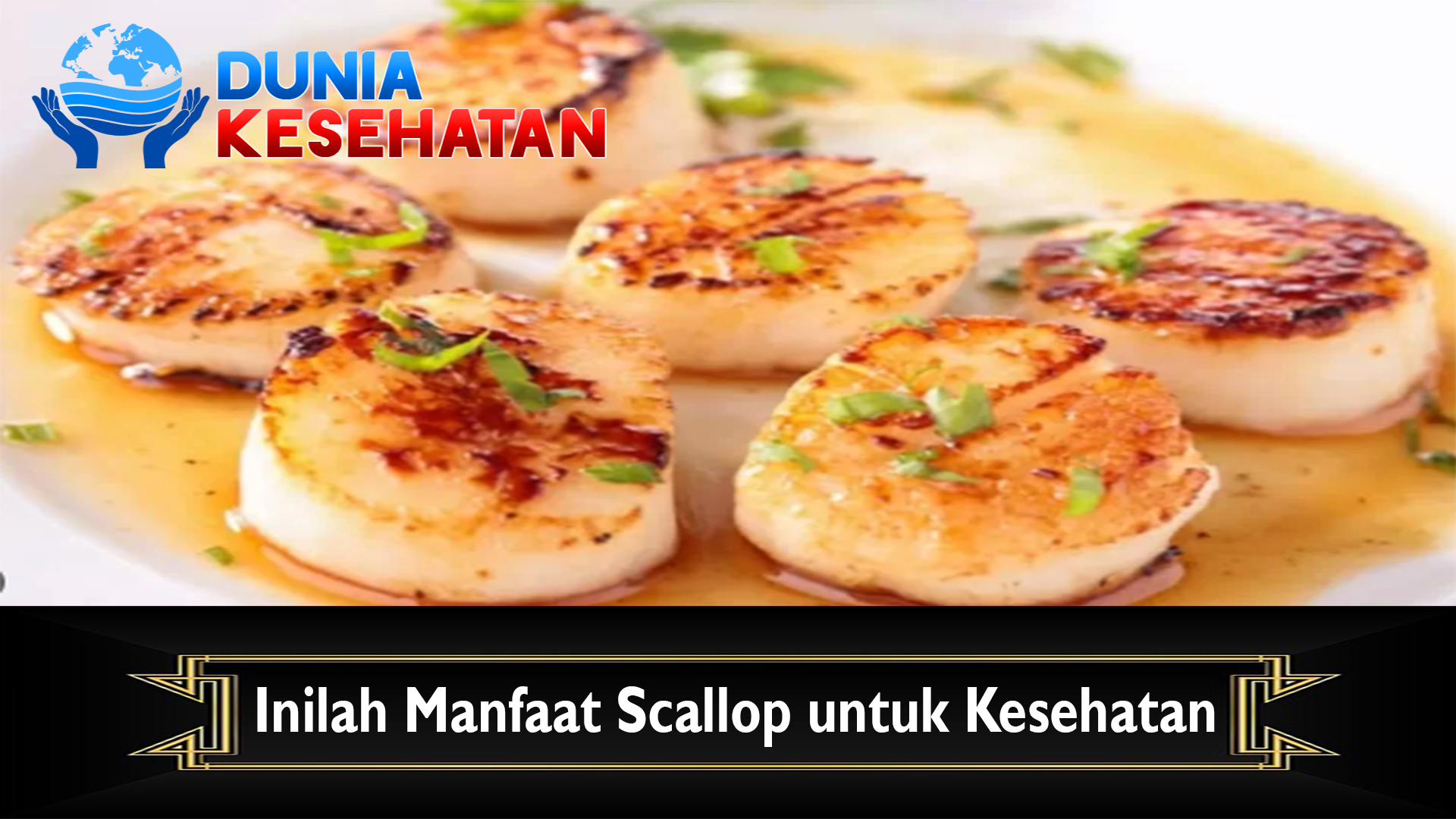 Inilah Manfaat Scallop untuk Kesehatan
