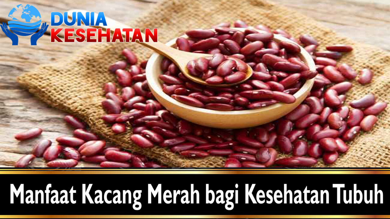 Manfaat Kacang Merah bagi Kesehatan Tubuh