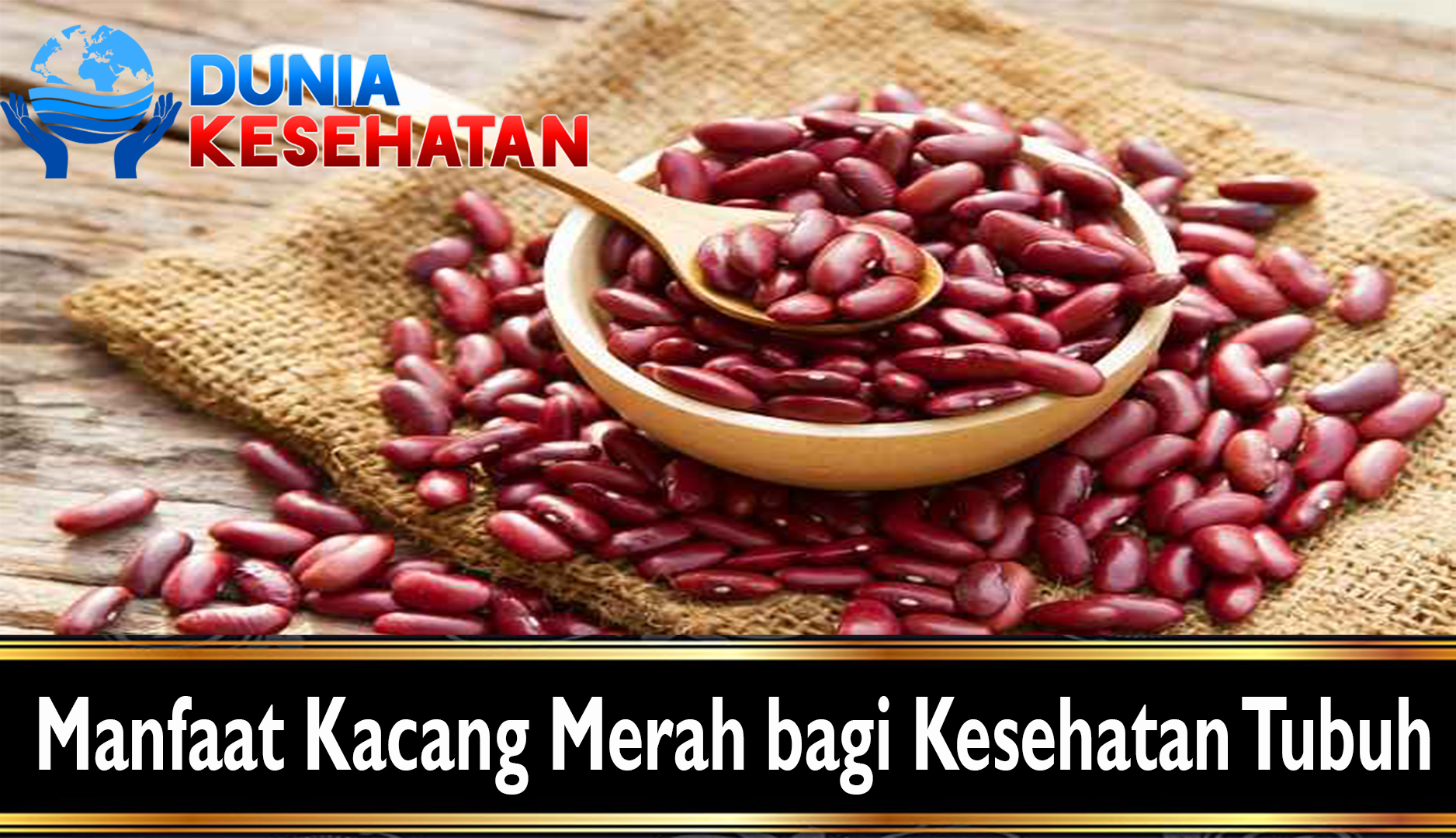 Manfaat Kacang Merah bagi Kesehatan Tubuh
