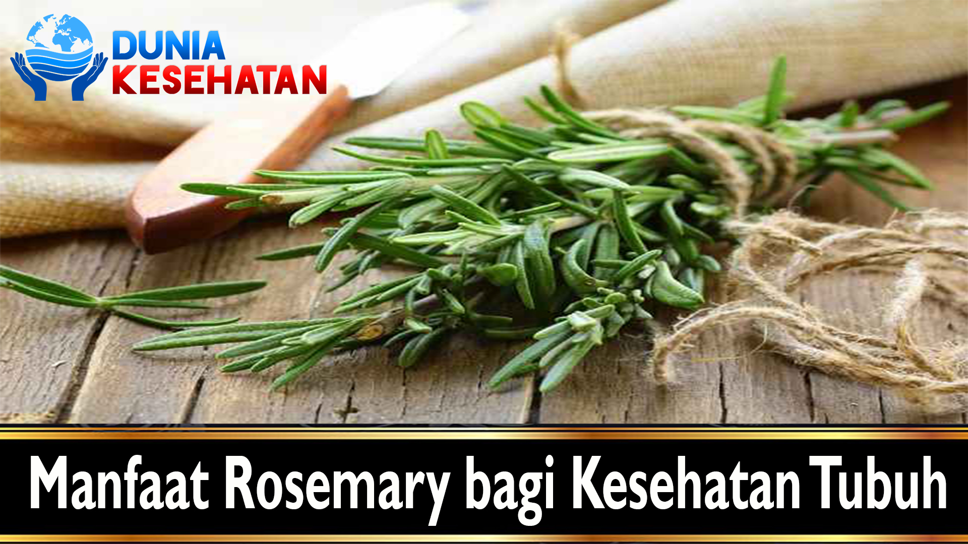 Manfaat Rosemary bagi Kesehatan Tubuh