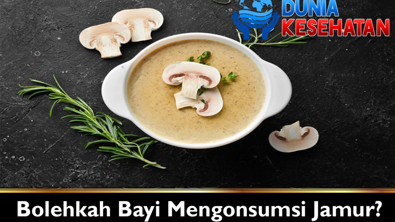 Bolehkah Bayi Mengonsumsi Jamur?