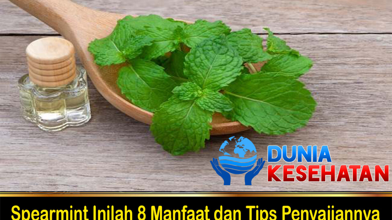 Spearmint Inilah 8 Manfaat dan Tips Penyajiannya