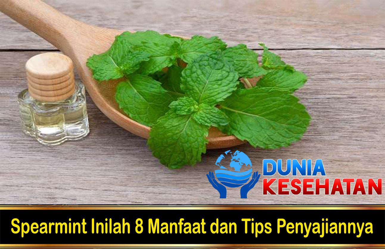 Spearmint Inilah 8 Manfaat dan Tips Penyajiannya