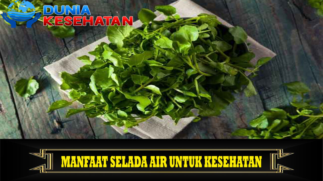 Manfaat Selada Air untuk Kesehatan
