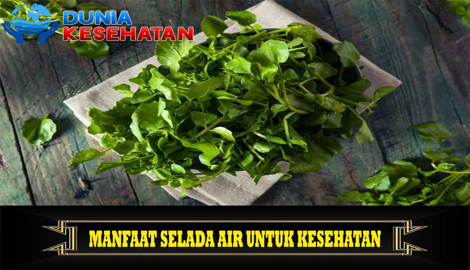 Manfaat Selada Air untuk Kesehatan