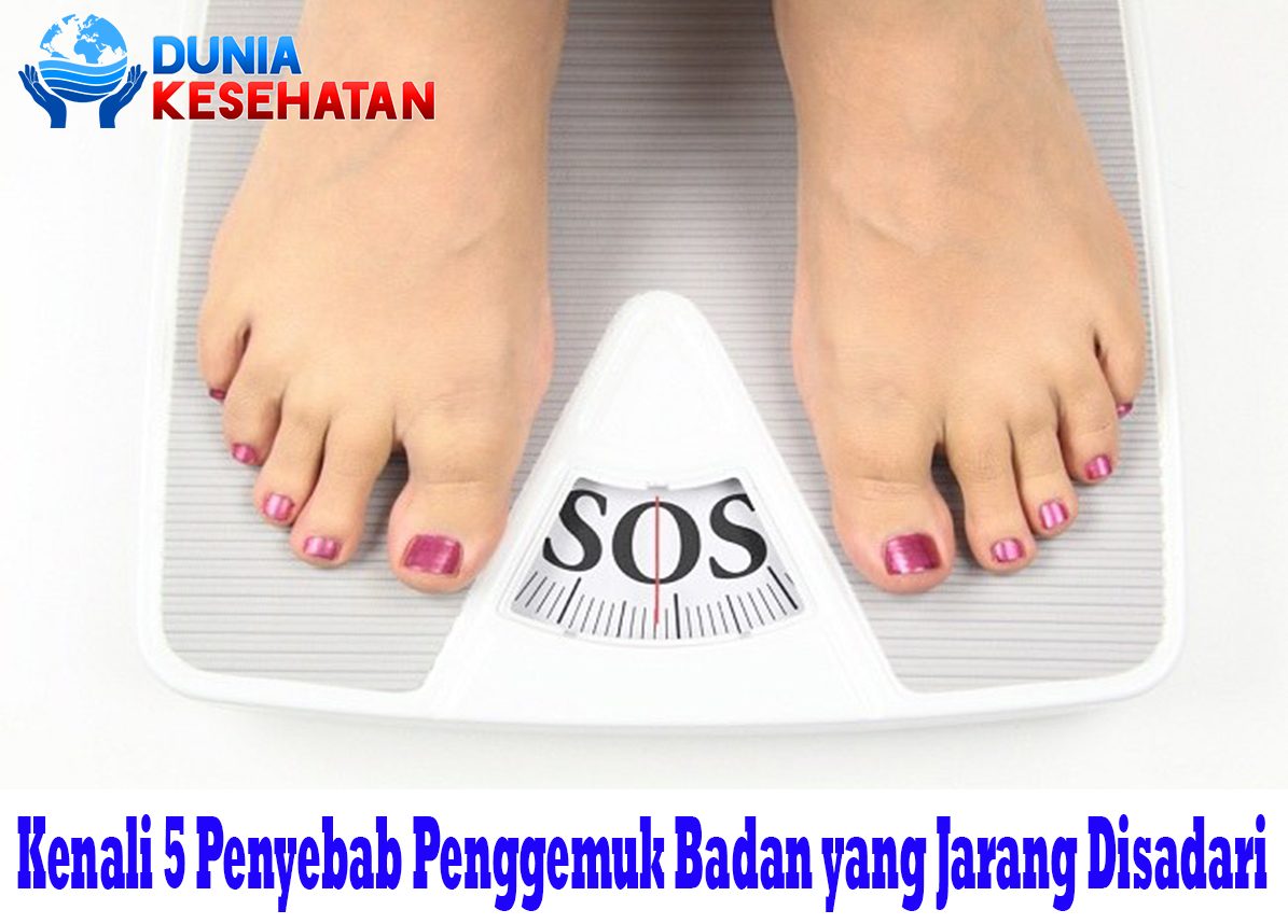 Kenali 5 Penyebab Penggemuk Badan yang Jarang Disadari