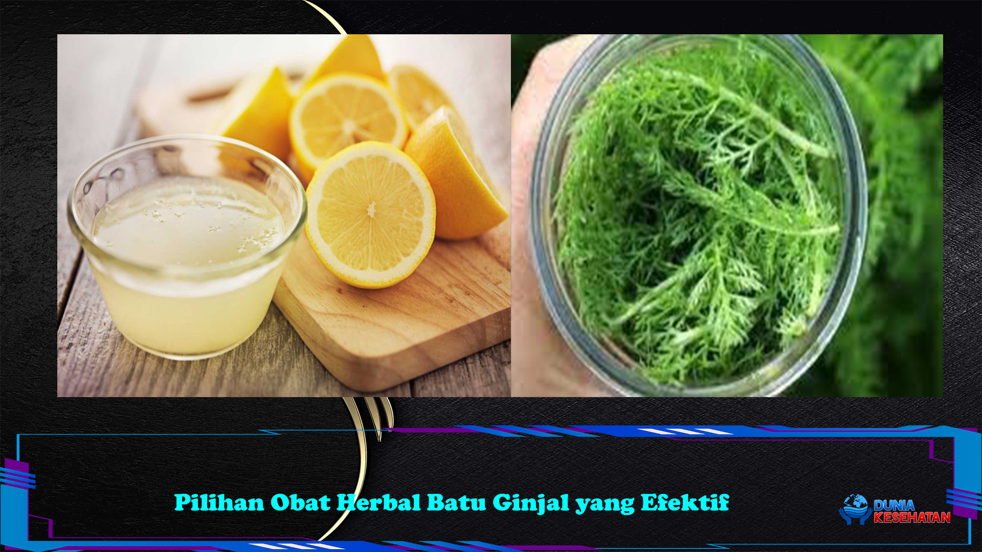 Pilihan Obat