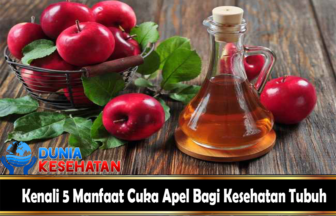 Kenali 5 Manfaat Cuka Apel Bagi Kesehatan Tubuh