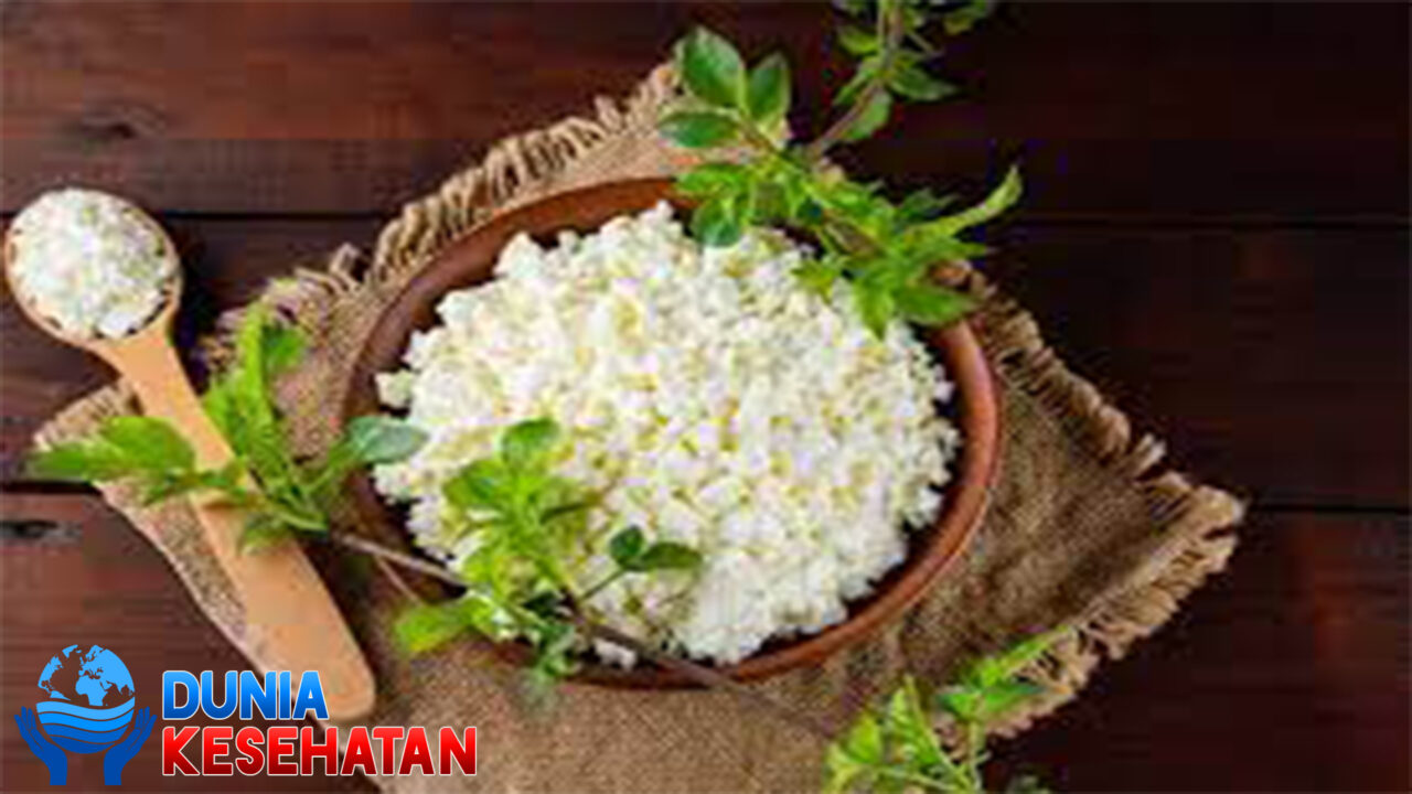 Manfaat Keju Cottage untuk Kesehatan Tubuh