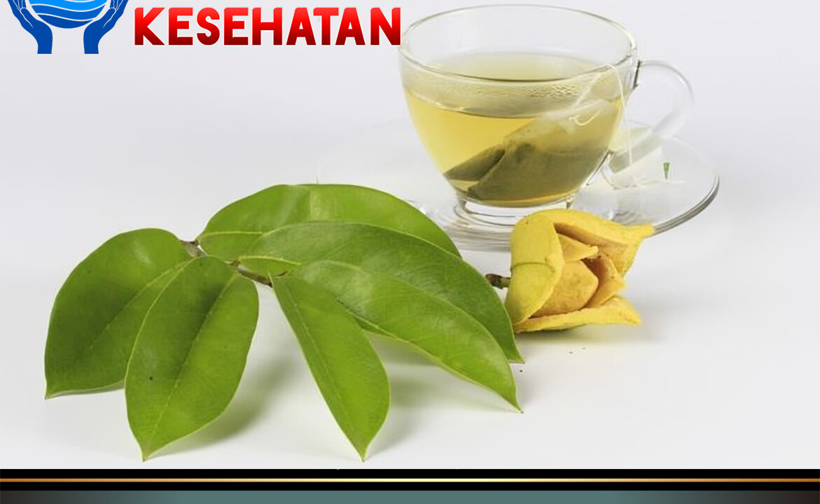 Manfaat Daun Sirsak untuk Kesehatan Tubuh