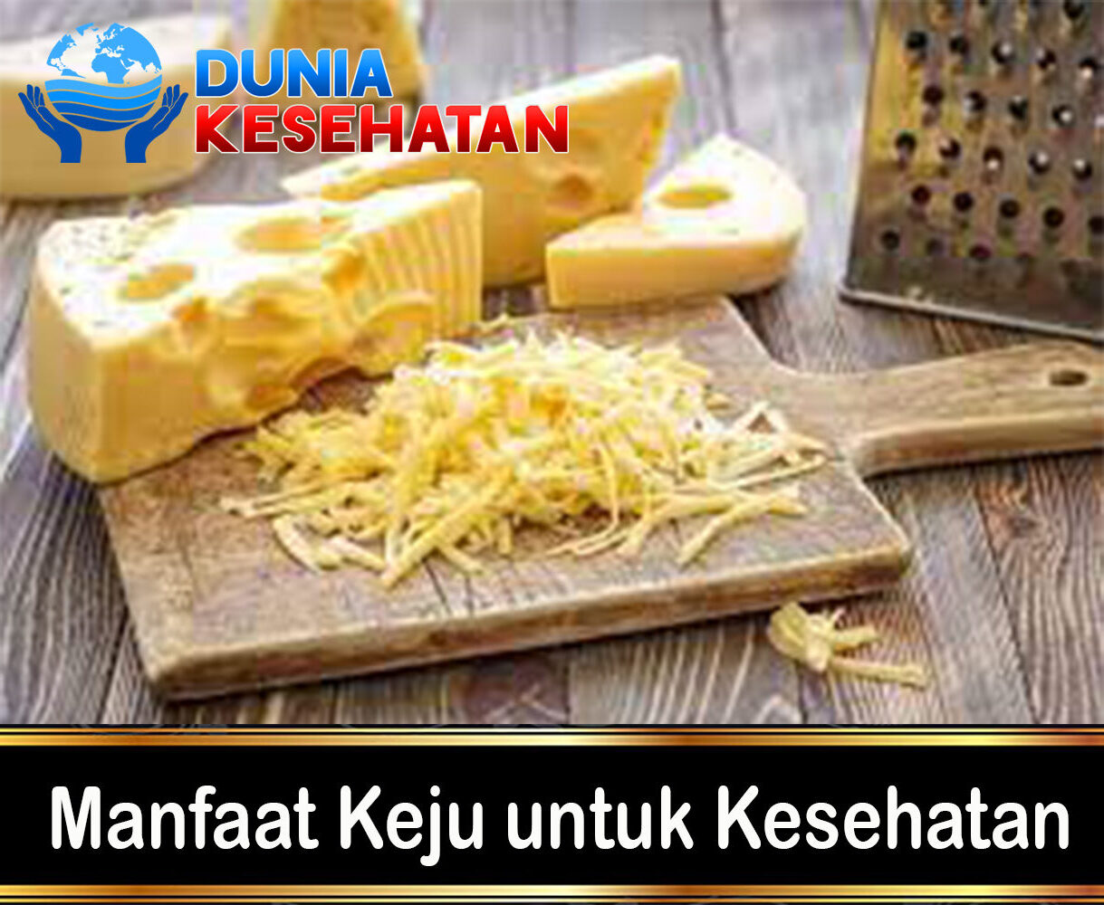 Manfaat Keju untuk Kesehatan
