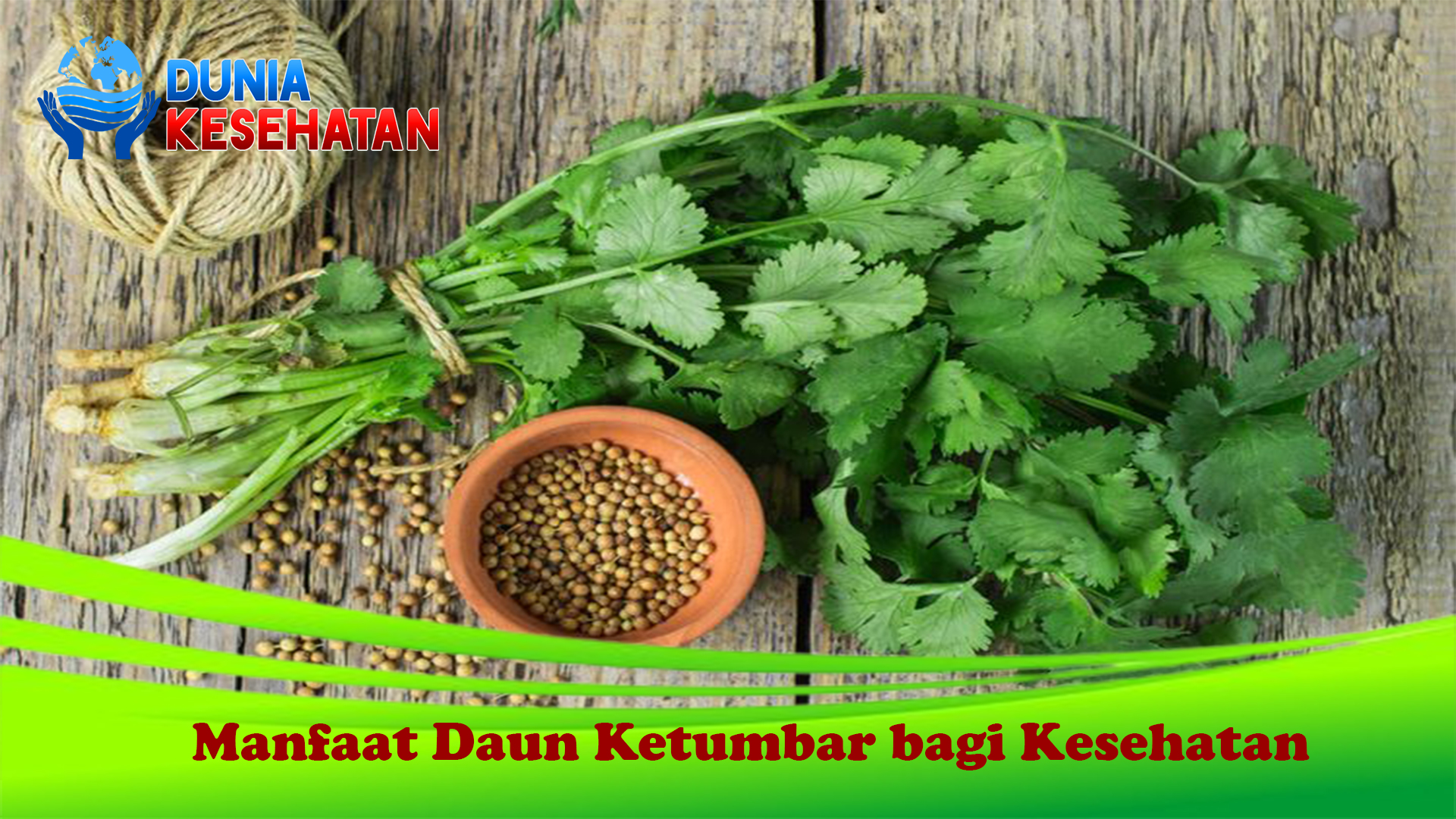 Manfaat Daun Ketumbar bagi Kesehatan