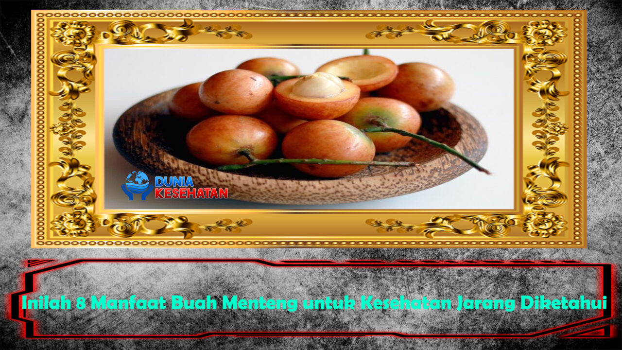Inilah 8 Manfaat