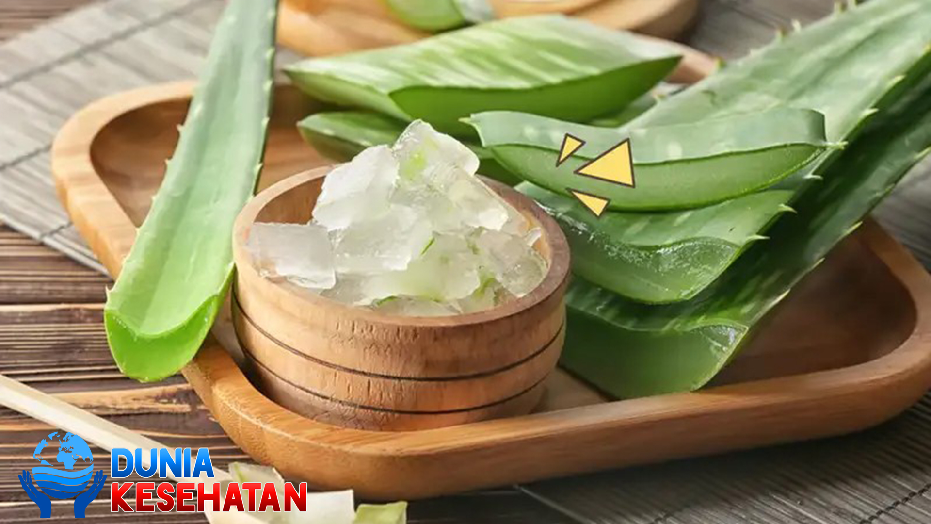 Seputaran Cara Penggunaan Lidah Buaya untuk Asam Lambung
