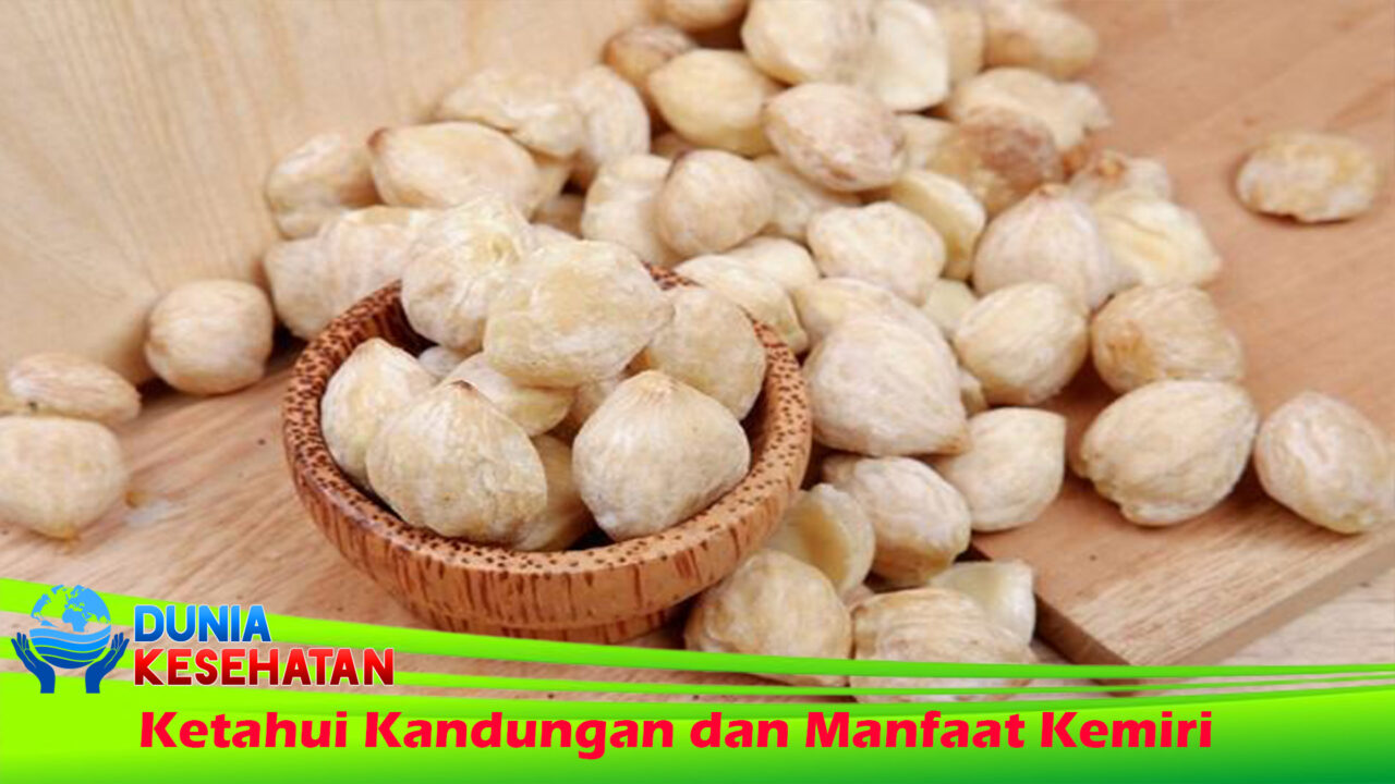 Ketahui Kandungan dan Manfaat Kemiri
