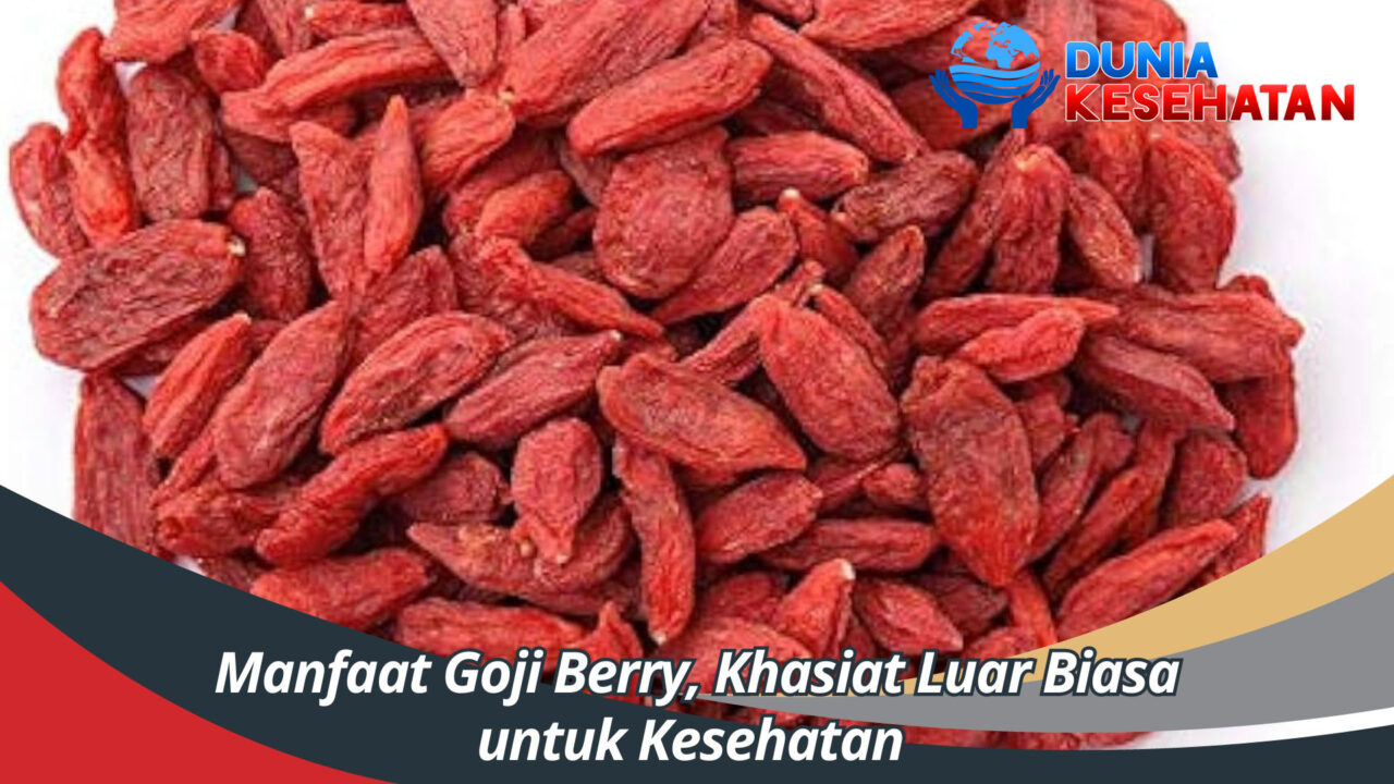 Manfaat Goji Berry bagi Kesehatan Eksplorasi Nutrisi Untuk Tubuh