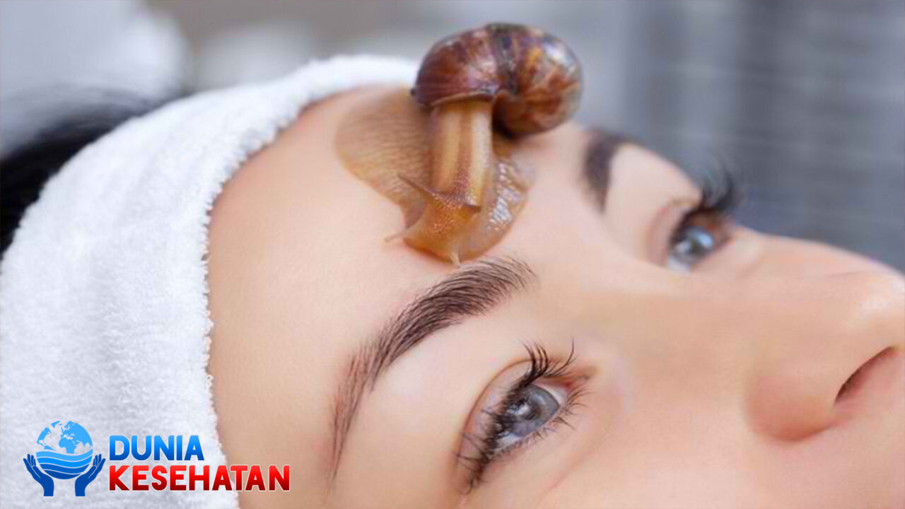 Manfaat Lendir Siput untuk Wajah