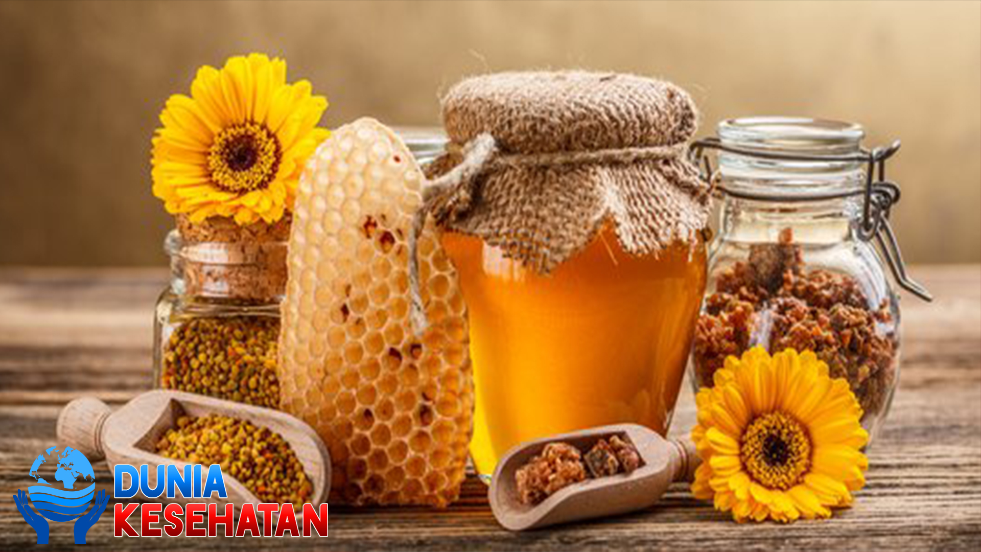 11 Manfaat Propolis untuk Kesehatan