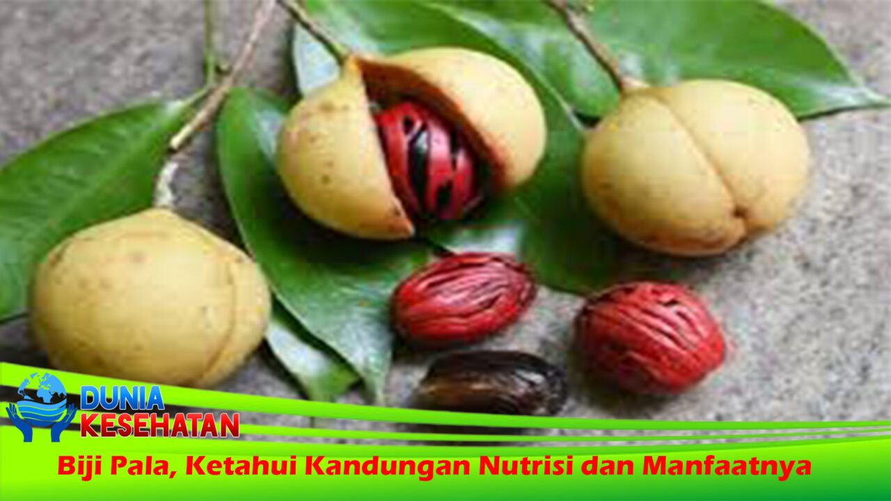 Biji Pala, Ketahui Kandungan Nutrisi dan Manfaatnya