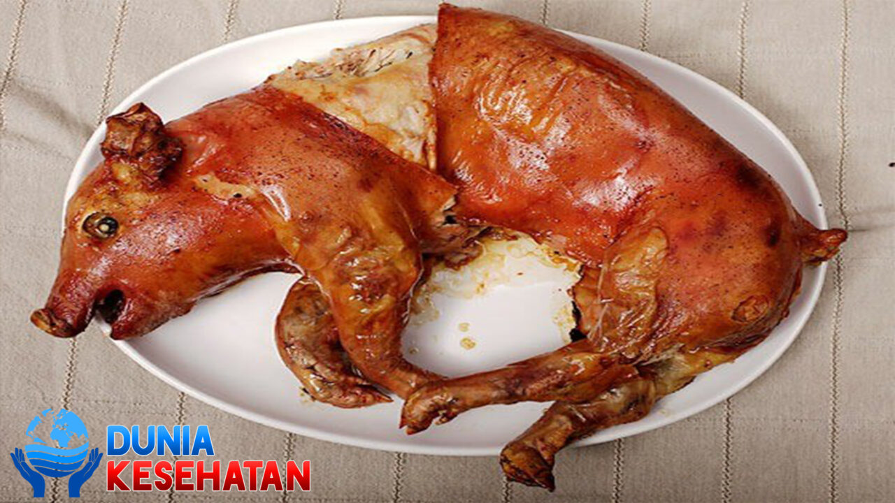 Daging Babi, Cacing Pita Dengan Bahayanya bagi Kesehatan