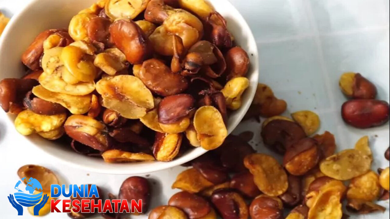 Inilah 6 Manfaat Kacang koro bagi Kesehatan Tubuh