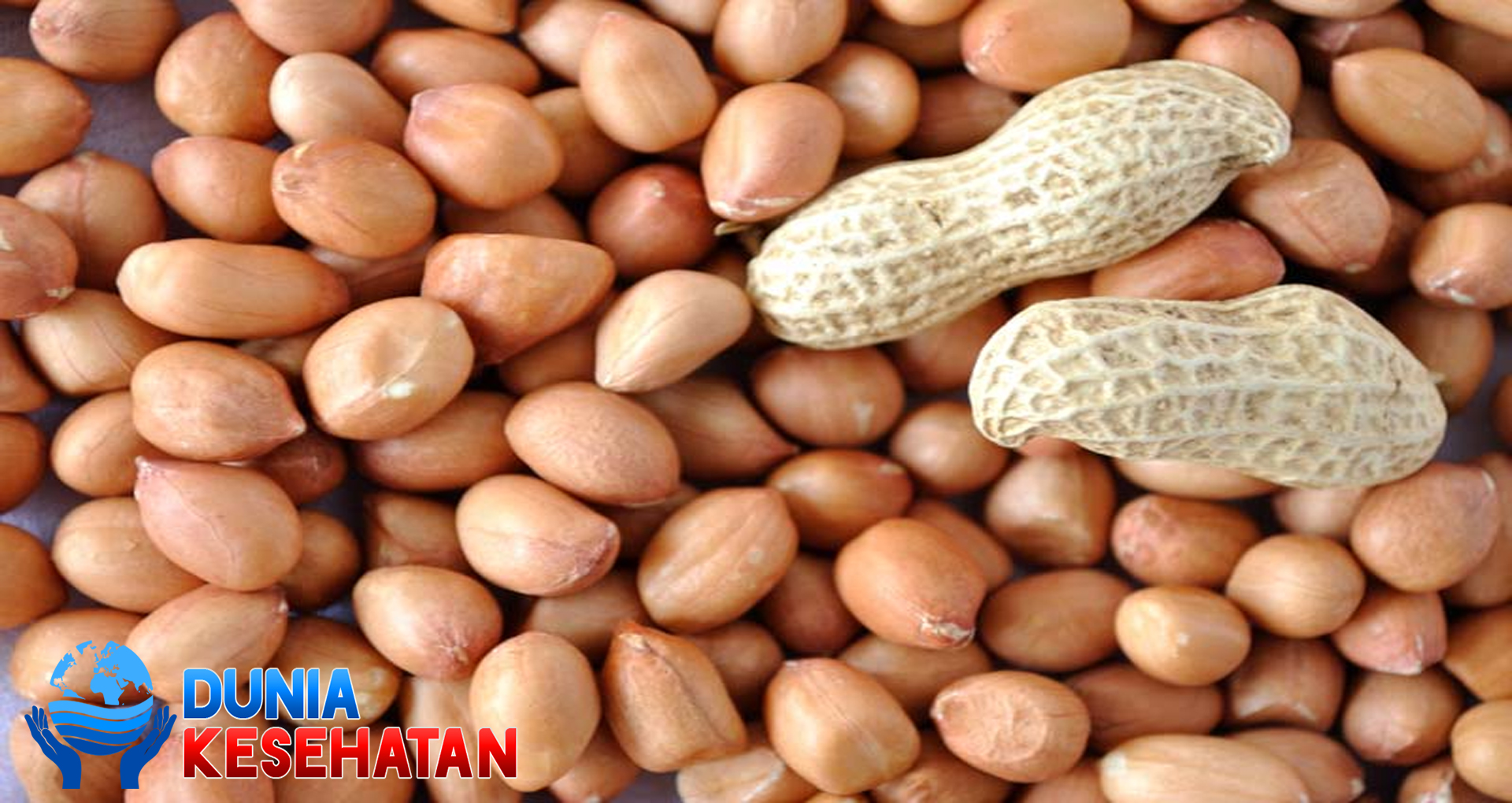 Manfaat Kacang Tanah sebagai Teman Diet