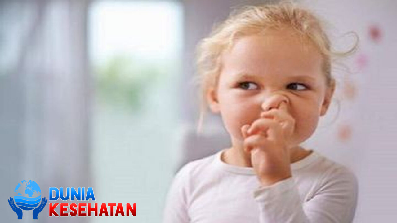 Jarang Diketahui, Ini Fungsi Lendir dan Upil dalam Hidung