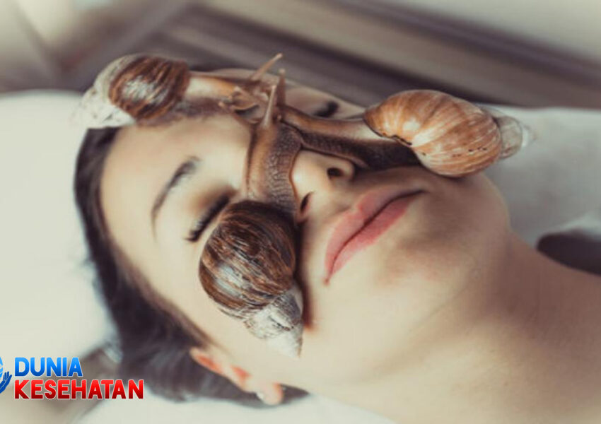 Inilah 4 Manfaat Lendir Siput untuk Wajah